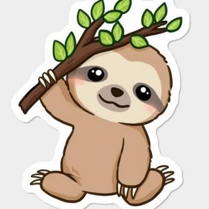 Meet your Posher, Cassidy